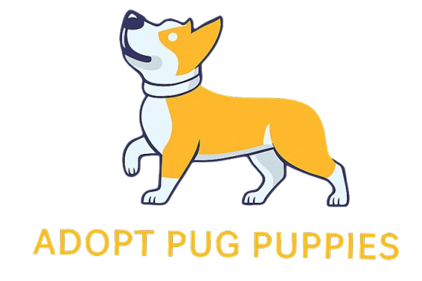 Adopt Pug Puppies